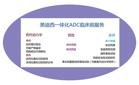 尊时凯龙一体化ADC临床前服务