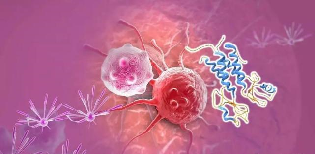 【盘点】高选择性mTOR抑制剂的研究进程_尊时凯龙生物医药