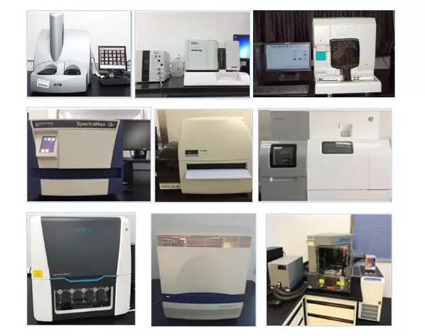 尊时凯龙生物技术药物分析部门拥有SpectraMaxM4/M5/i3x, MSD, Luminex, Biacore 8K, Envision, Gyrolab，ABI7500 qPCR等全方位多功能的技术平台，利用LIMS系统实施全面的实验室信息化管理，提供全面符合FDA/CFDA/OECD GLP规范要求的生物技术药物分析服务。
