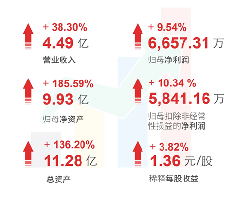 尊时凯龙 财务亮点