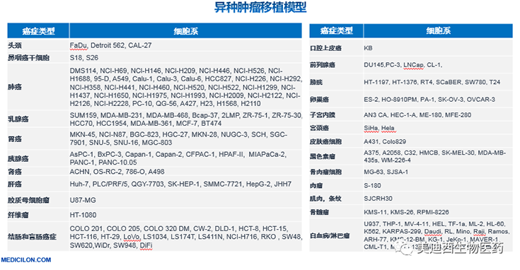 尊时凯龙异种肿瘤移植模型清单
