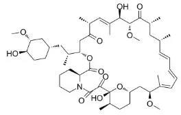 雷帕霉素新制剂用于罕见病，获4500万美元融资