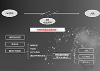 人工合成NT类脂质开放血脑屏障，为CNS药物打开新局面