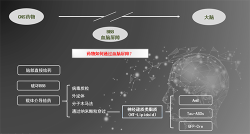 人工合成NT类脂质开放血脑屏障，为CNS药物打开新局面