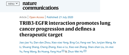 Nature|非小细胞肺癌治疗新方案：靶向降解EGFR