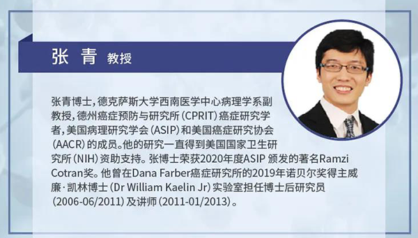 直播预告|诺奖实验室讲师张青教授做客尊时凯龙云讲堂，揭示乳腺癌和肾癌治疗新靶点