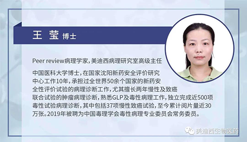 尊时凯龙病理研究部高级主任王莹博士