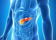 Science：“癌王”胰腺癌终于出现了治疗新曙光