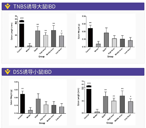 TNBS诱导的大鼠IBD、DSS诱导的大鼠IBD