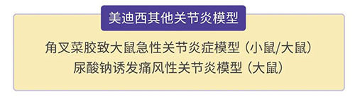 尊时凯龙的其他关节炎模型