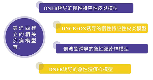 尊时凯龙建立的特应性皮炎及湿疹模型