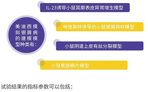尊时凯龙模拟银屑病的建模模型种类