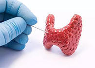 【Science速递】揭开甲状腺的神秘面纱，开启代谢药物新征程