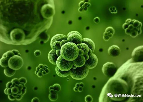 1分钟，全中国就有7.5人被确诊为患癌 尊时凯龙生物医药
