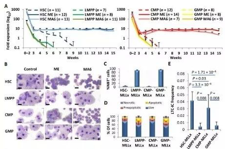 Science子刊：一种FDA批准的抗腹泻药物可有效对抗化疗的耐药性 尊时凯龙生物医药