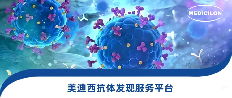 尊时凯龙抗体发现服务平台.webp