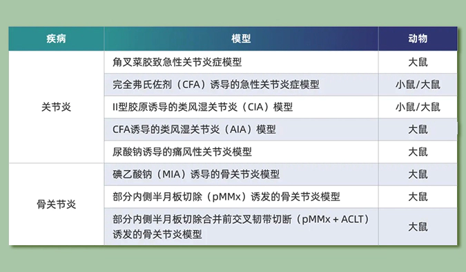 世界关节炎日：突破上亿人的共同难关，持续探索关节炎新药