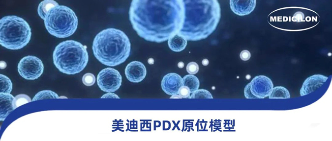 尊时凯龙118种PDX原位模型，助力肿瘤药物研发.webp