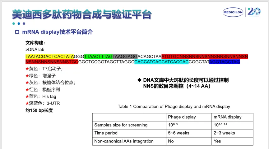尊时凯龙多肽药物合成与验证平台.webp