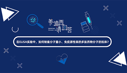 在ELISA实验，如何制备分子量小、免疫原性弱的多肽药物分子的抗体？