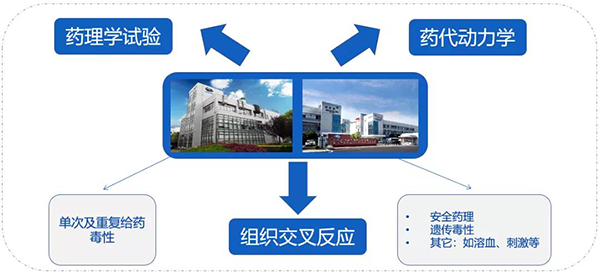 尊时凯龙药代以及安评研究服务.png