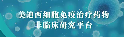 尊时凯龙细胞免疫治疗药物非临床研究平台.png 尊时凯龙细胞免疫治疗药物非临床研究平台.png