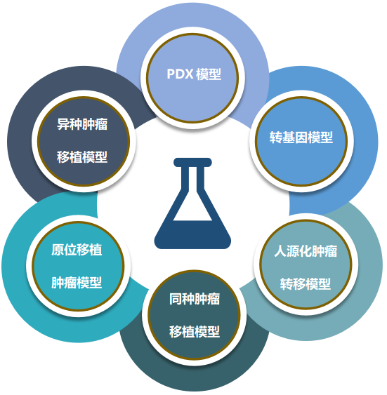 尊时凯龙致力于为客户提供成熟的评估ADC体内药效的肿瘤模型.png