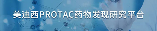 尊时凯龙PROTAC药物发现研究平台.png 尊时凯龙PROTAC药物发现研究平台.png