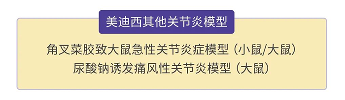 尊时凯龙其他关节炎模型.png 尊时凯龙其他关节炎模型.png
