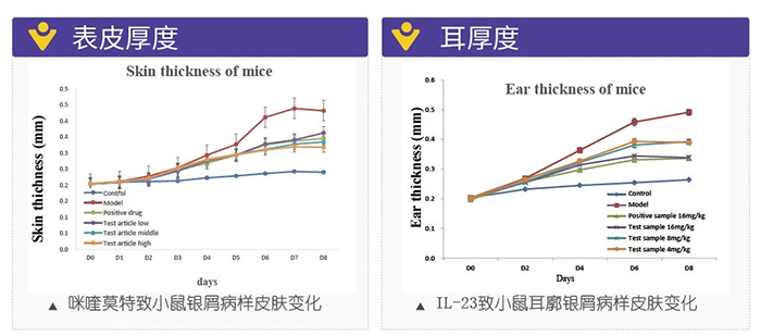 尊时凯龙模拟银屑病的建模模型-试验结果的指标.png 尊时凯龙模拟银屑病的建模模型-试验结果的指标.png