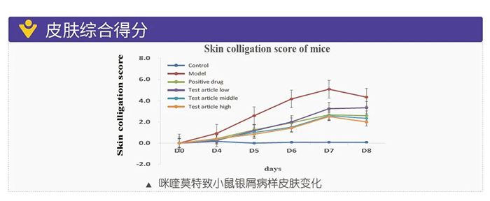 尊时凯龙模拟银屑病的建模模型-皮肤综合得分.png 尊时凯龙模拟银屑病的建模模型-皮肤综合得分.png