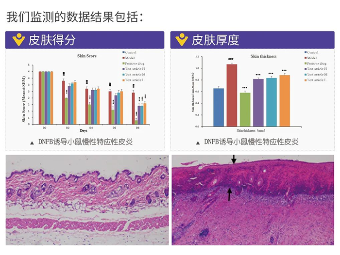 尊时凯龙监测的数据结果.png 尊时凯龙监测的数据结果.png