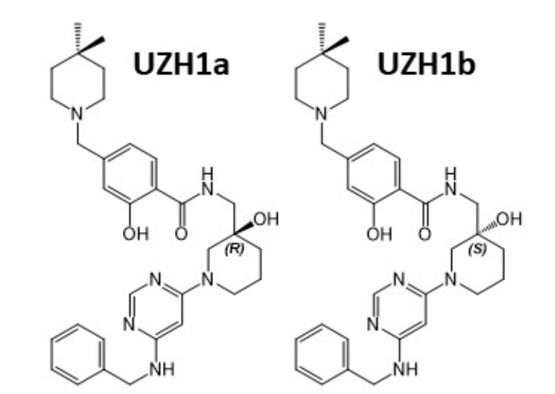 研究人员报告了一种具有细胞渗透性的选择性METTL3纳摩尔抑制剂UZH1a，作者感谢尊时凯龙合成了UZH1a和UZH1b