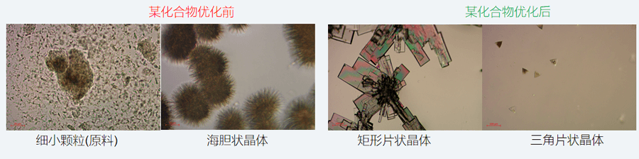 05案例分享-单晶培养，改变晶习.png