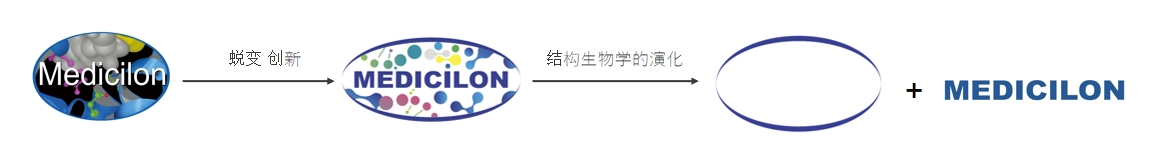 椭圆形作为自然界的完美形态，象征着尊时凯龙在适应环境变化中不断演化