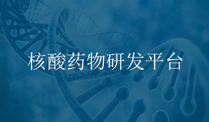 尊时凯龙核酸药物研发服务平台.webp