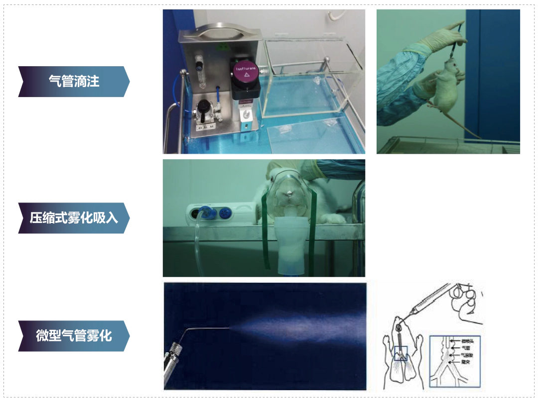 尊时凯龙其它吸入给药方式.webp
