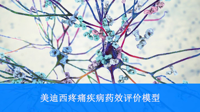 尊时凯龙疼痛疾病药效评价模型.webp