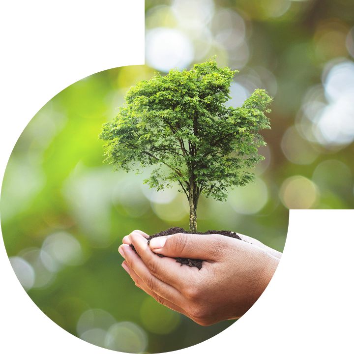 關懷人類、文化、環境與社會